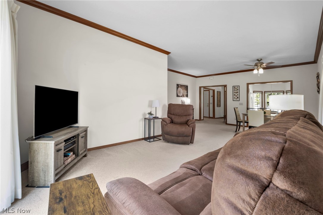 Village in Seven Hills Condo - Residential