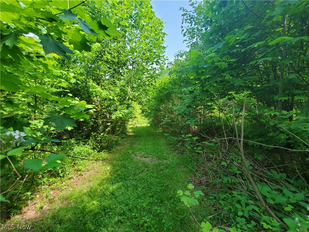 Wilson S W - Land
