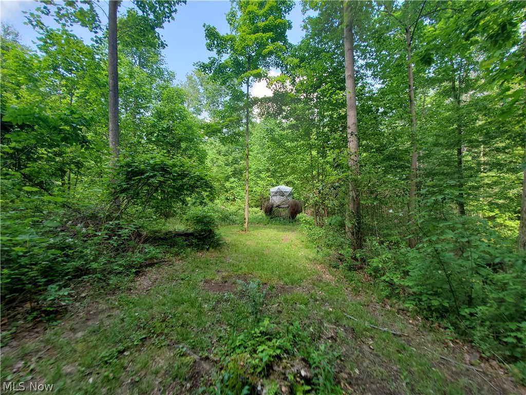 Wilson S W - Land