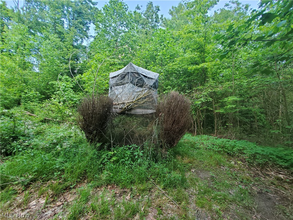 Wilson S W - Land