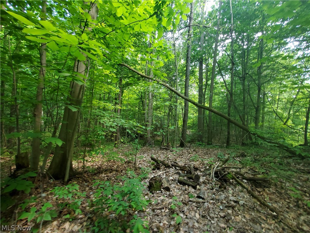Wilson S W - Land
