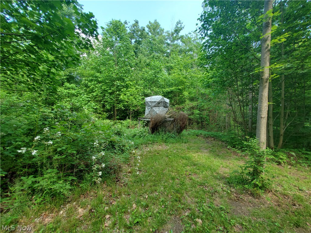 Wilson S W - Land