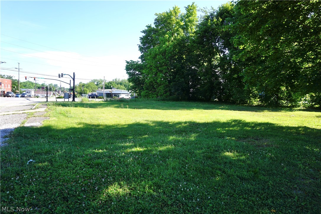 The list price shown is the starting bid price at auction. Auction date (Friday July 31, 2026 @ 3 PM) is the deadline for bids but an offer could be accepted at any time so submit your offer ASAP. Two lots being sold together for a total of .47 ac (+/-) of commercially zoned vacant land. Located directly in the heart of Madison Village at a signalized intersection assures your future business maximum exposure. Underground utilities present. Starting bid translates to one of the most affordable opportunities around. Don't let someone else get one of the last vacant lots in the heart of the Village, submit your offer today.