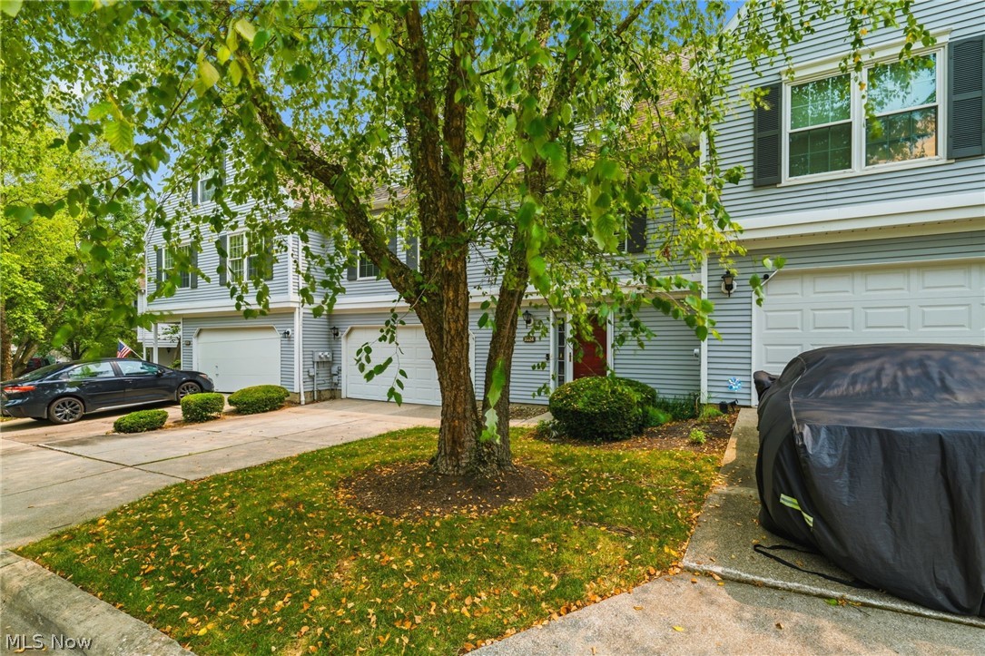 Brook Point Village Condo - Residential