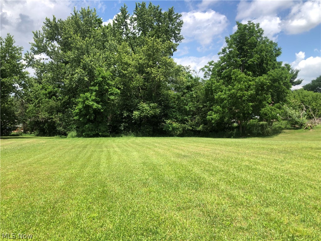 Build your dream home on this wonderful .58 acre lot in the Springvale Allotment in the Canton South School District. This lot is 100' x 256', it's cleared and level and it has public water and public sewer available. Conveniently located in a great, established neighborhood of well-kept homes that are close to schools, parks, restaurants and it's only minutes from Interstate 77.