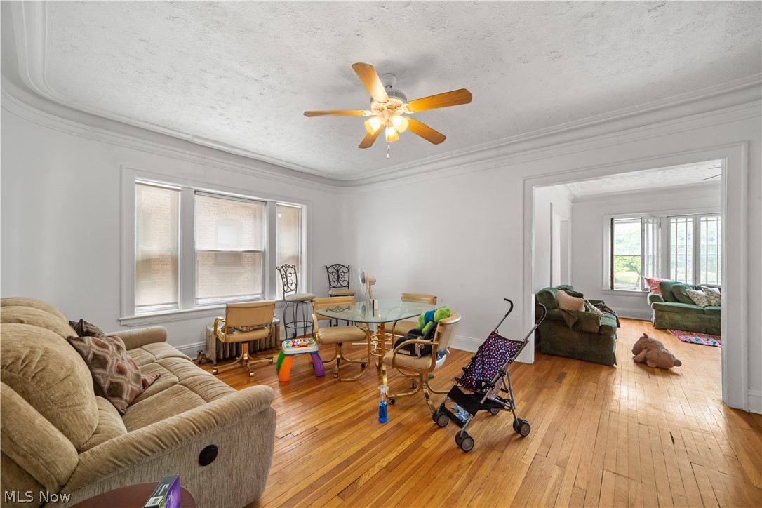 Euclid Heights Allotment - Commercial Sale