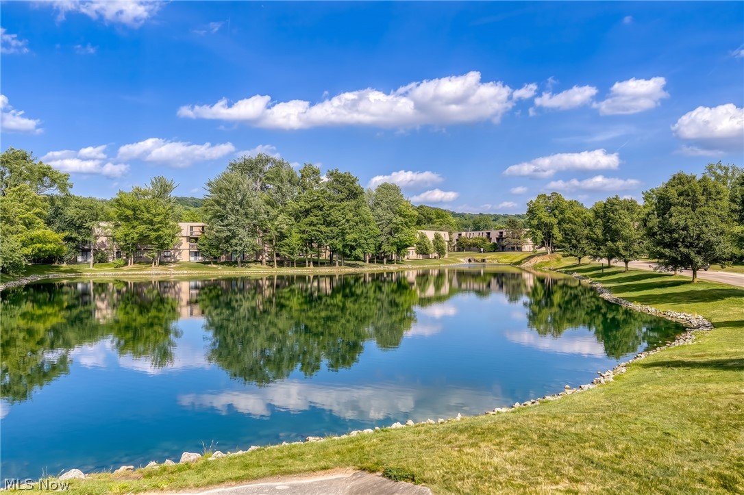Sunrise Cove Condo - Residential