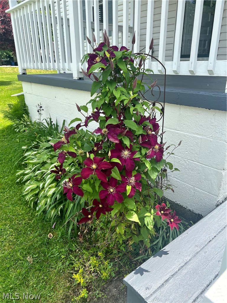 Green Sec 11 - Residential