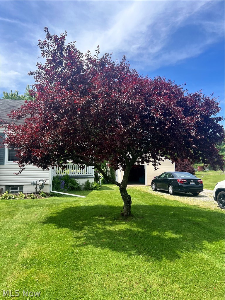 Green Sec 11 - Residential