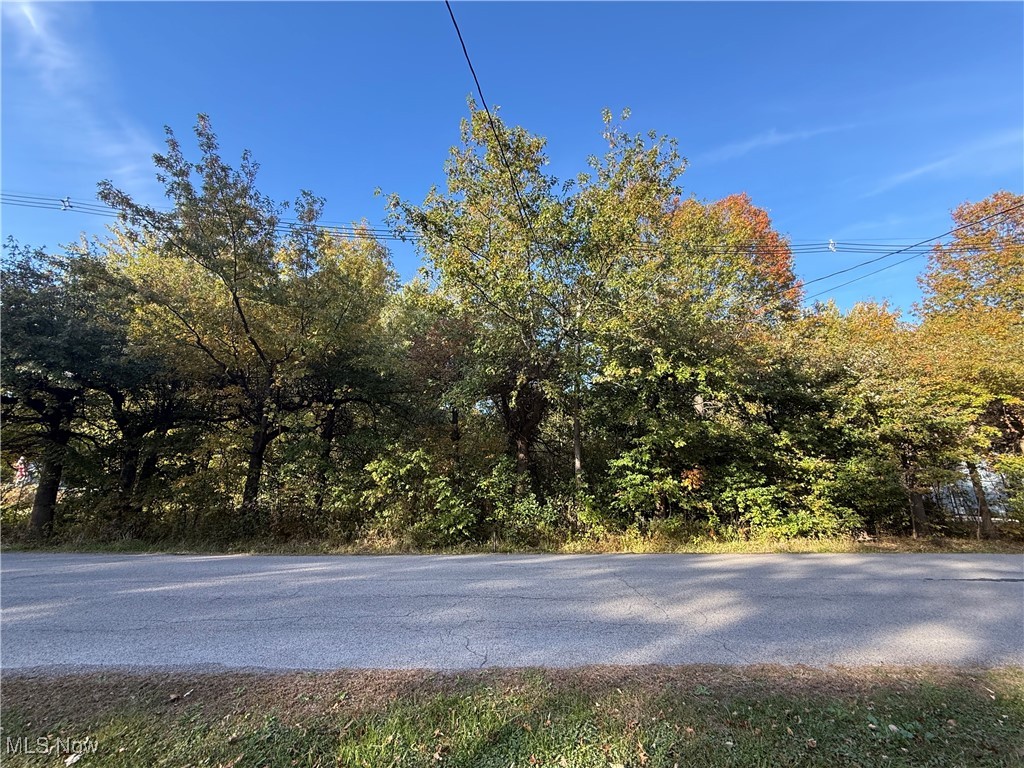 Discover a rare opportunity to build your home in Austintown on a combined 0.44-acre parcel composed of four separate lots. Nestled within the Austintown Local School District, this property offers both flexibility and convenience in one desirable package. 
Proximity to shopping, and dining, you’ll be close to local amenities, retail corridors, and transportation routes. Quiet, residential setting with potential for good privacy.