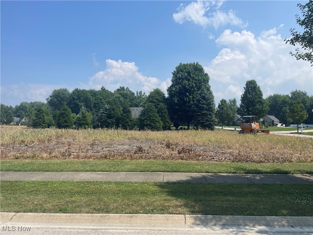Looking for a beautiful corner lot to build your dream home? Stonegate has everything you need in a premier location. Check out Homesite #55 on a Cul-de-sac dead end street (Hideout Court). With .26 acres, well-maintained common space, beautiful homes and sidewalks throughout the community, you will want to call Stonegate home!