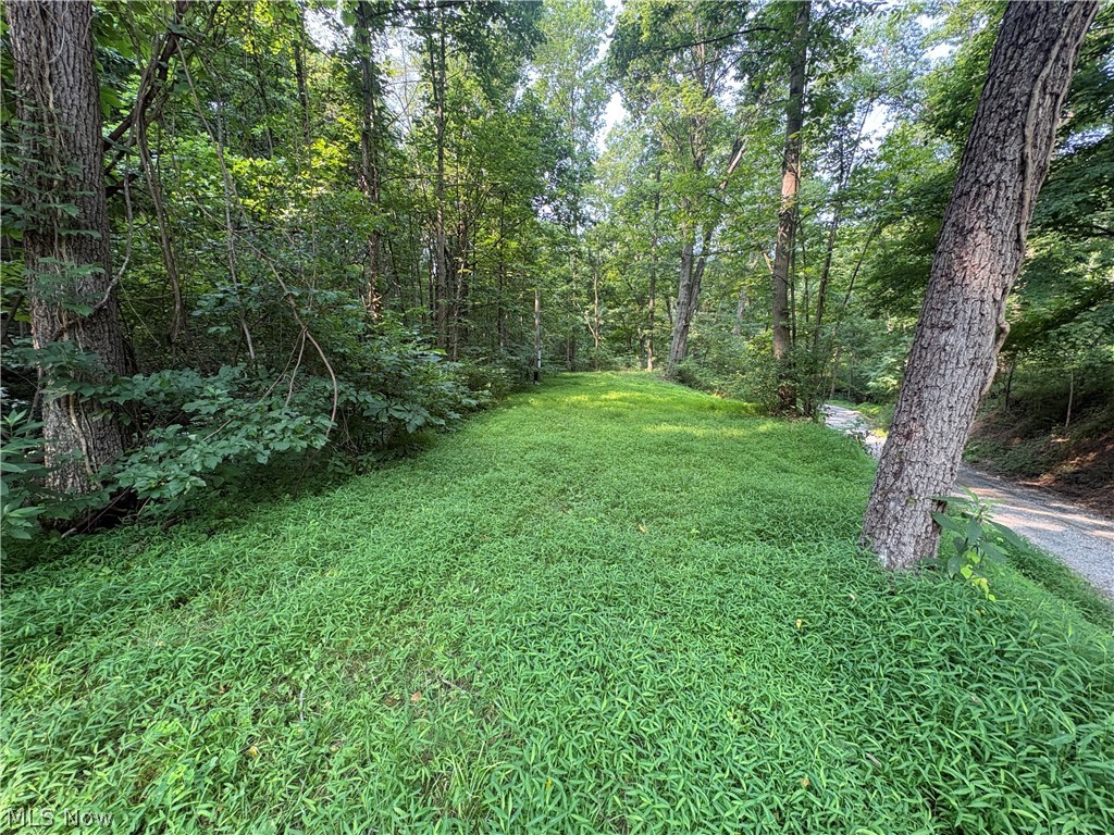 ONLINE ONLY AUCTION 7/20/26-8/20/26

Looking for the perfect place to escape to nature? This 4± acre property in beautiful Monroe County, Ohio offers a unique blend of level ground, wooded terrain, and natural beauty.

Featuring some level areas ideal for a campsite or future improvements, the property also includes a picturesque ravine with a run flowing through it, creating a peaceful setting for outdoor enthusiasts. Natural rock outcroppings add character and make this property a true Appalachian gem.

A storage building and an older camper are already on the property, providing a great starting point for your weekend retreat or hunting camp. The property also appears to have had electrical service at one time, offering potential for future restoration, though buyers should verify availability and condition.

Whether you're looking for a recreational getaway, hunting property, camping destination, or a place to enjoy the outdoors, this property offers plenty of possibilities.