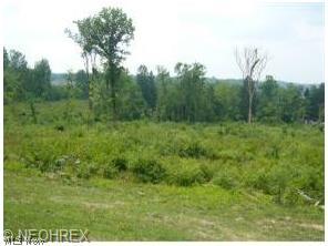 Remarks: Deep Lot With Road Frontage, West M Schools, Easy Access To Mall , Route 60 & Route 146 Health Dept Approved For Septic, Gas, Water, Electric, Cable Available At Street. Taxes & Parcel # To Be Determined. Realtor Owned.