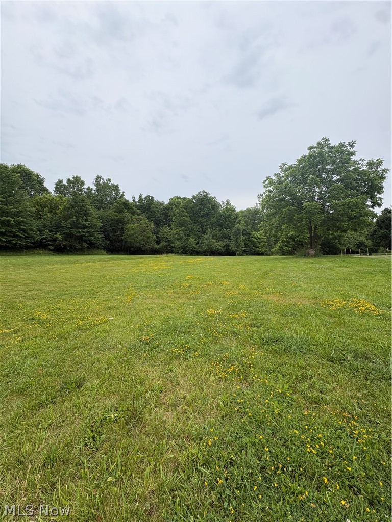Here is your chance to own a lot in an established Rittman neighborhood, just minutes from the schools and the conveniences of downtown. This property provides a peaceful setting at the end of a dead-end street with City of Rittman water and sewer available, making this a great option for new construction. Buyers are encouraged to perform their own due diligence with their builder and the City of Rittman regarding utility connections, permitting, and building requirements. Bring your own builder and turn your vision into reality!