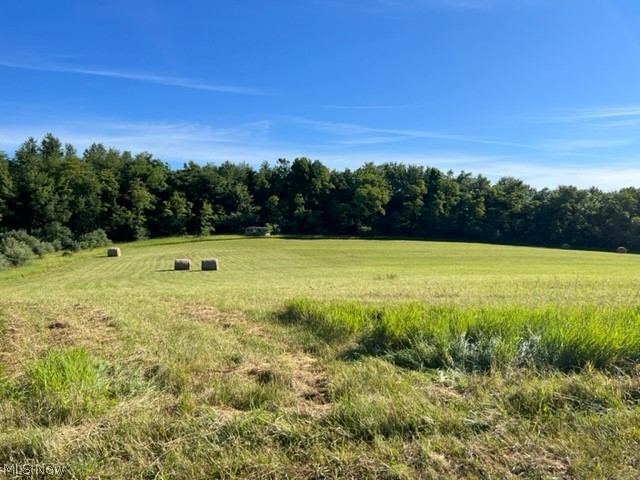 ONLINE ONY AUCTION ending Tuesday, August 2nd at 6:00 PM. 22 Acre Recreational Land w/Hayfield * Timber Potential * Old Avion Travel Trailer * Guernsey Co. * Oxford Township * East Guernsey Schools. Selling a nice piece of recreational land in SE Ohio that offers a secluded weekend spot less than 10 minutes from the interstate! The property is fronted by a pretty hayfield with easy level access from Barber Rd. the balance of the property is wooded with some decent timber and pines. The property offers excellent recreational value from hunting to hiking and comes with an older Avion travel trailer. (Needs some TLC but seems solid).