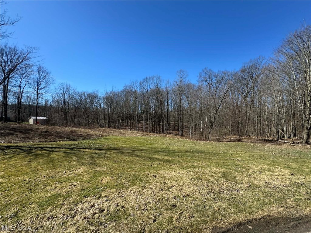 Beautiful 1.32-Acre Building Lot on a Quiet Cul-de-Sac!
Don’t miss your chance to own the last available lot in this desirable neighborhood! This spacious 1.32-acre parcel offers the perfect setting to build your dream home with plenty of room for privacy and outdoor living. City water, gas  and electric are available, making it ready for your future plans.

Ideally located with easy access to Rt. 11, you’ll also be just minutes from Lake Erie, perfect for fishing, boating, and beach days. Plus, enjoy being close to over 30 local wineries, making this area a true destination for relaxation and entertainment.

Build the home you’ve always wanted in a peaceful setting while still being close to everything the area has to offer!