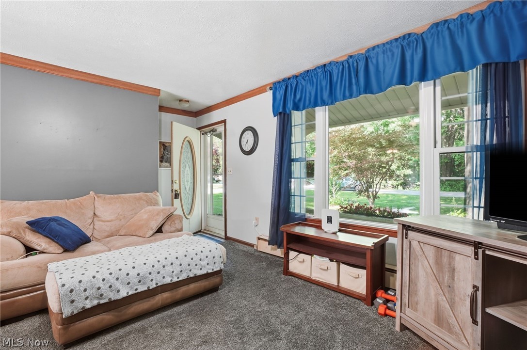 North Woods Estate - Residential