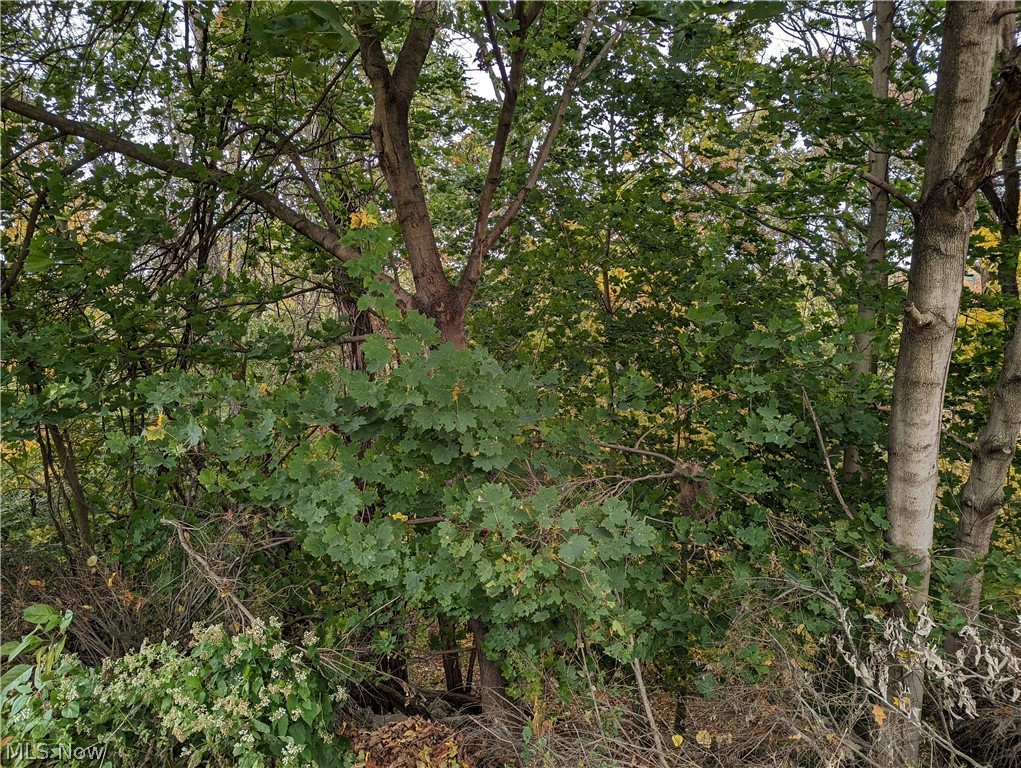 1.38 acres in Suburban Heights. 337 feet of frontage.
