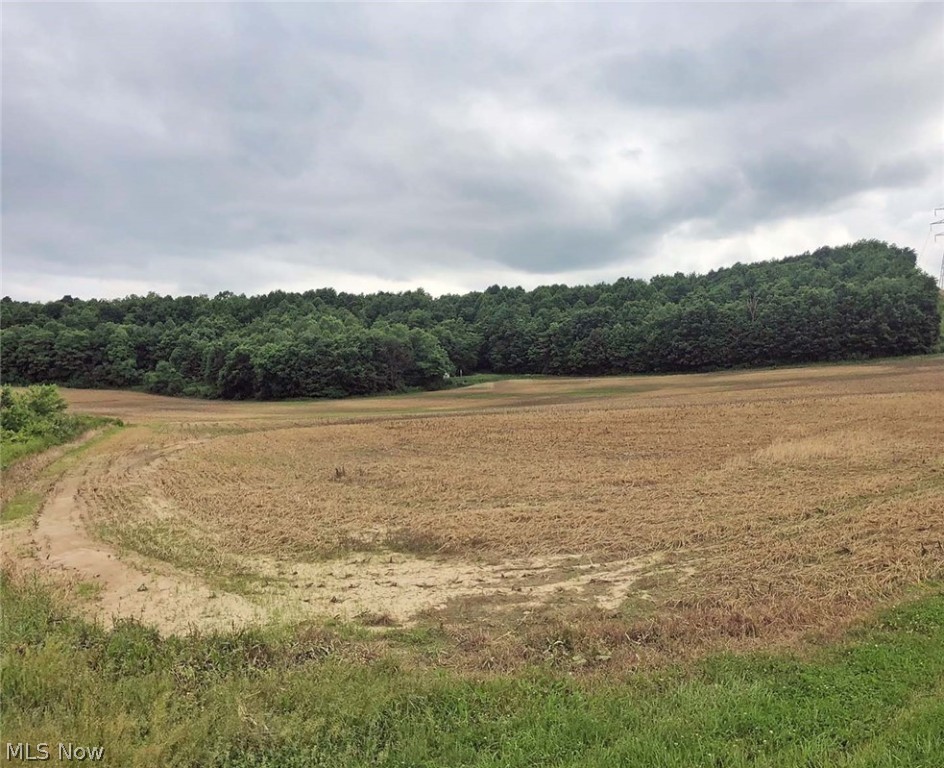 Private 30.86 acres of mostly level & open tillable land w/ small wooded area in the rear. Parcel #1003411. Taxes $421.60 per half year, currently under the CAUV program. Mineral interest previously reserved.