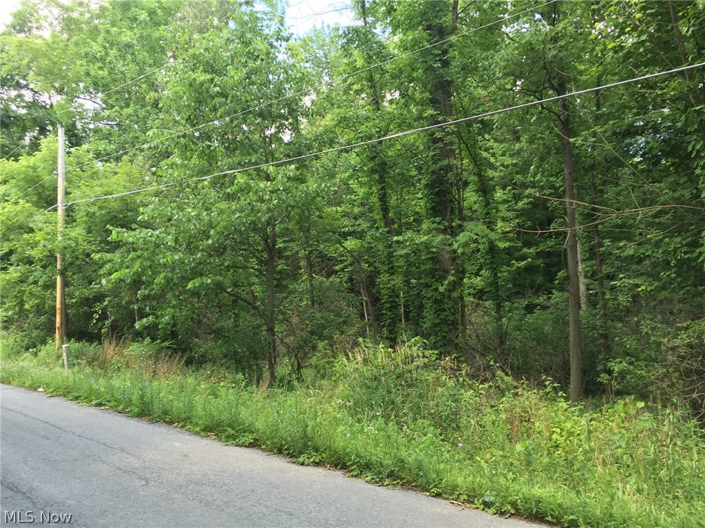 Looking for that perfect place to build your dream home...well here it is...3 acres of a beautiful wooded lot! This lot offers privacy but only minutes away from Brookfield Center offering stores, restaurants and freeway access !