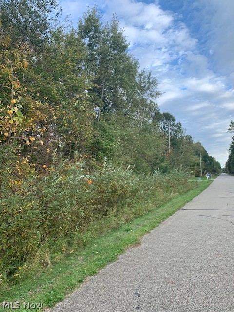 Come check out these scenic 5 acres of wooded land to build your Dream House. Property is located in Mecca Township. Maplewood school system. Lot size is 200 x 1100. Located on a secondary country road close to Mosquito Lake! No Zoning!