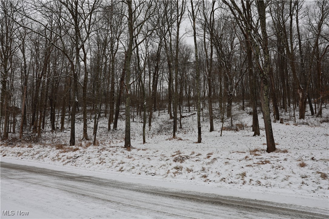 Located in Perry Township just minutes south of Nellie, this 33.417-acre tract offers an outstanding recreational and hunting opportunity. The property features abundant deer sign, a small flowing creek, and a mix of wooded terrain with some timber. This acreage will be split from another parcel, making it a great option for hunters, investors, or anyone seeking a private outdoor retreat.