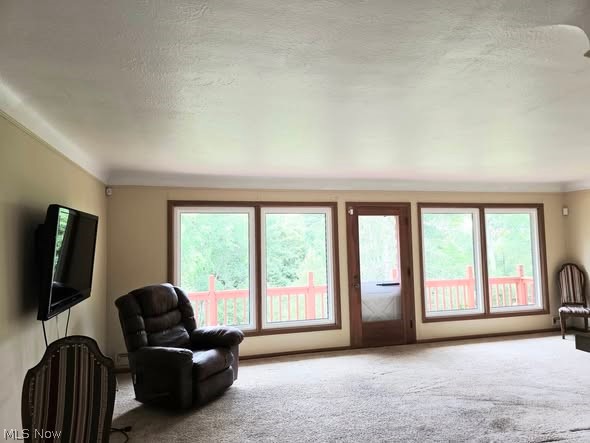 R A Galls Middleburg Heights - Residential