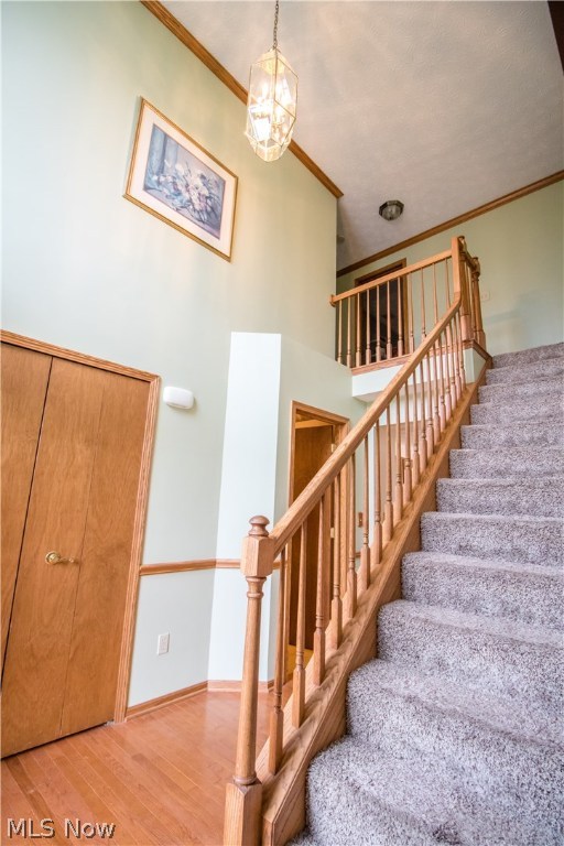 Village At Coventry Crossing - Residential
