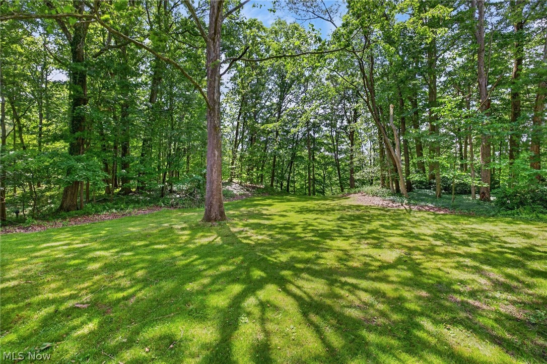 Meadow Park - Residential