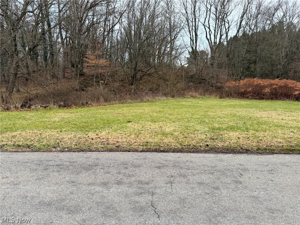 Almost ½-Acre Cleared & Level Lot with Wooded Views. Build your dream home on this cleared, level almost ½-acre parcel offering peaceful wooded views. Easy to develop, great setting, and close to local amenities — a perfect spot with endless potential!