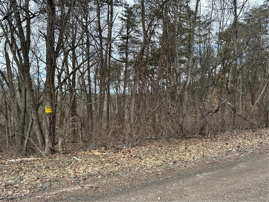 Looking for that elusive property in a rural setting yet minutes from town? This beautiful property is part of a larger parcel located on a quiet township road with access to city water and electricity. You will be minutes away from Warren Schools, historic Marietta, Parkersburg, West Virginia, and the Ohio River. Take your pick from seven lots each 5+/- acres. This listing is Tract 7 of 8 (Tract 3 is sold). Acreage is approximate and is subject to a final survey.