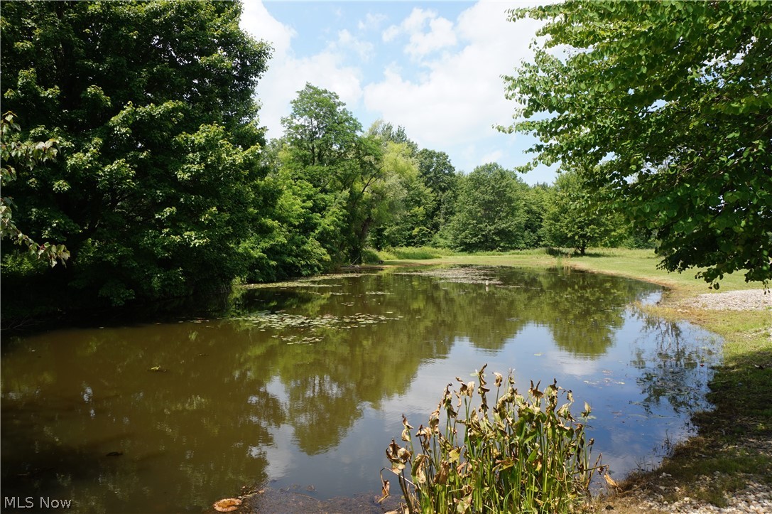 Saybrook - Residential