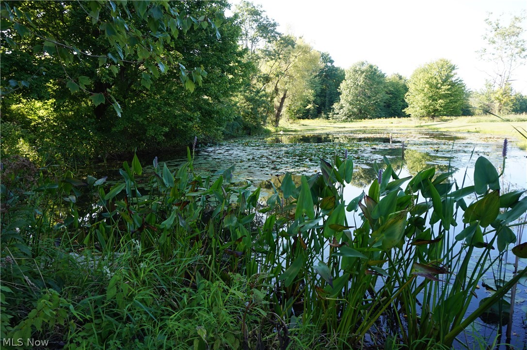 Saybrook - Residential