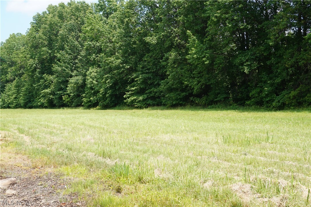 Saybrook - Residential