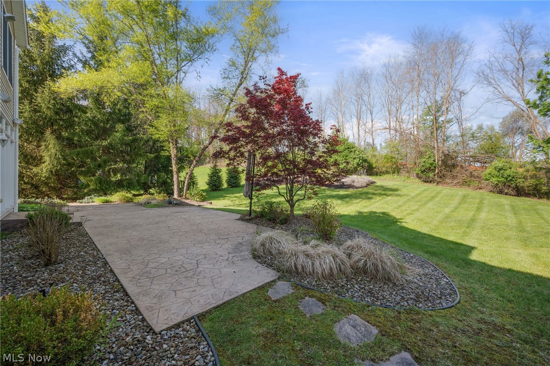 Swan Lake - Residential