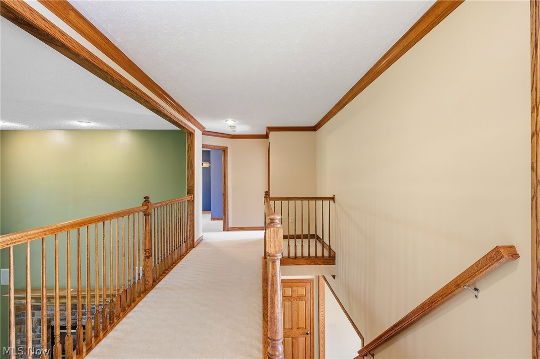 Swan Lake - Residential