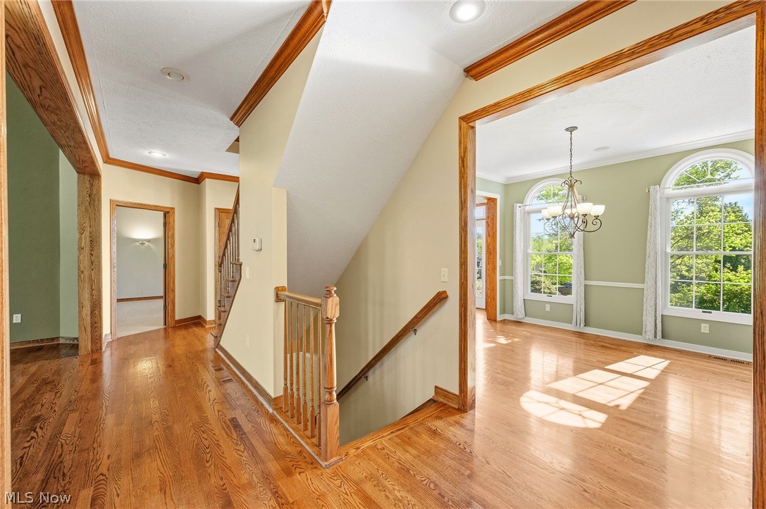 Swan Lake - Residential