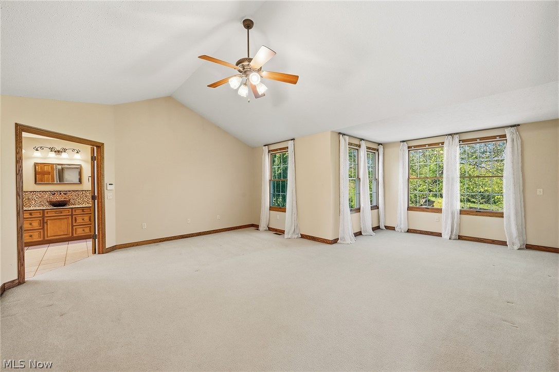 Swan Lake - Residential