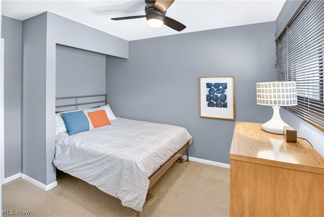 Dover Bay - Residential