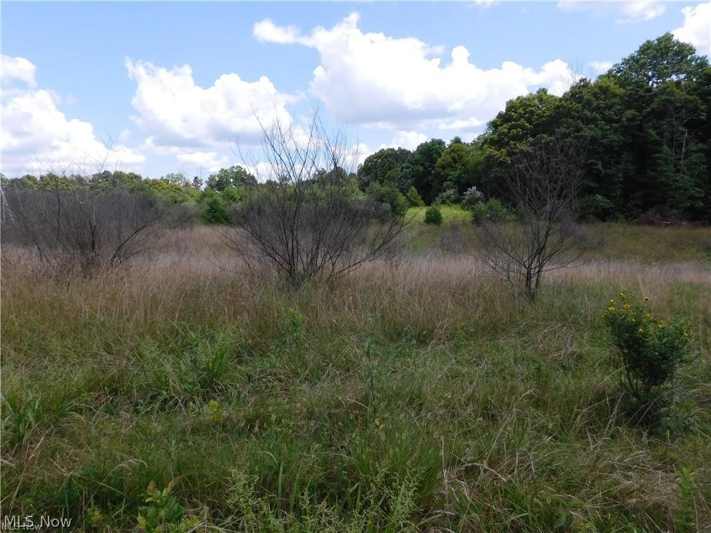 This property is 2 parcels together  for a combined 10+ acres.   Public water and electric available.  Gas coming with another neighbor or two signing on.   Would be great for a hunting get away or to build on. open field  and wooded . Warren School District