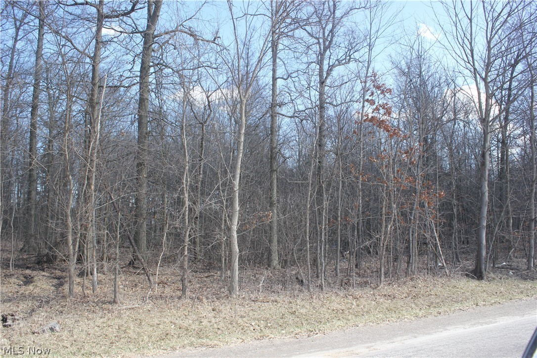 Great wooded lot to build your dream home. 3.522 acres located on CR 1353 in Ashland School District. Listing agent is related to the seller.