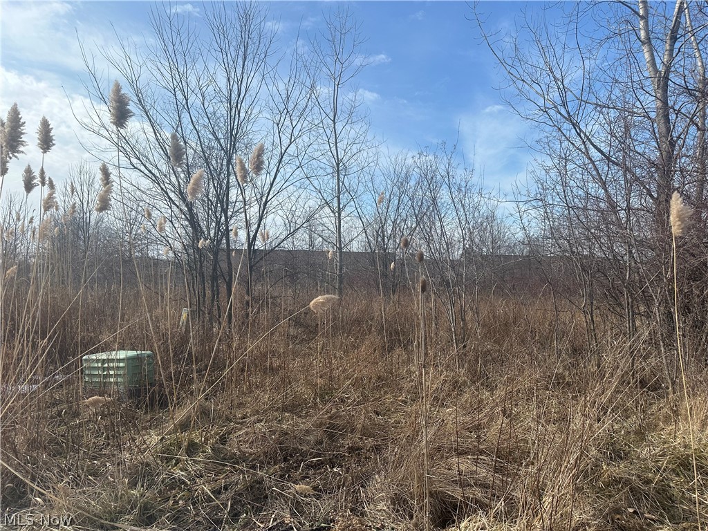 All FOUR lots for $39,900!!!Picture four beautiful lots just waiting for someone’s vision to become reality. Each lot offers a unique opportunity, whether you’re building a dream home, a vacation retreat, or an investment property. The plots are nestled in a peaceful setting, with a blend of natural beauty and convenience. They’re spacious enough for creative designs and well-connected to local amenities. Whether you imagine a modern architectural marvel or a cozy cottage, these lots are ready to bring your vision to life. Don’t miss the chance to create something special. Whether you’re envisioning a multi-family for rental opportunities or a sleek condo, there are many plans available to suit your vision. You have the flexibility to create a modern, income-generating property or a stylish space, all within a setting that blends convenience and potential.