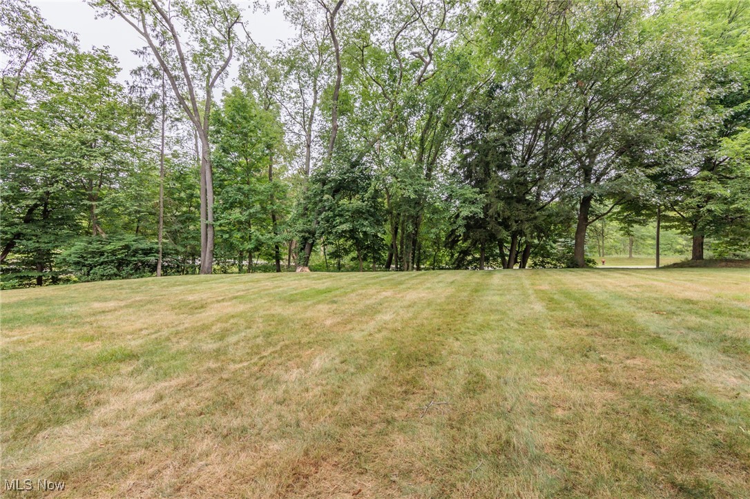 Lyndale Park - Residential