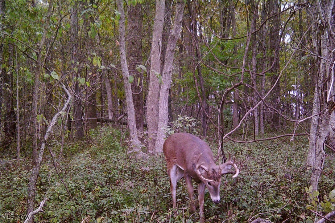 Hunters Glen Sub - Land