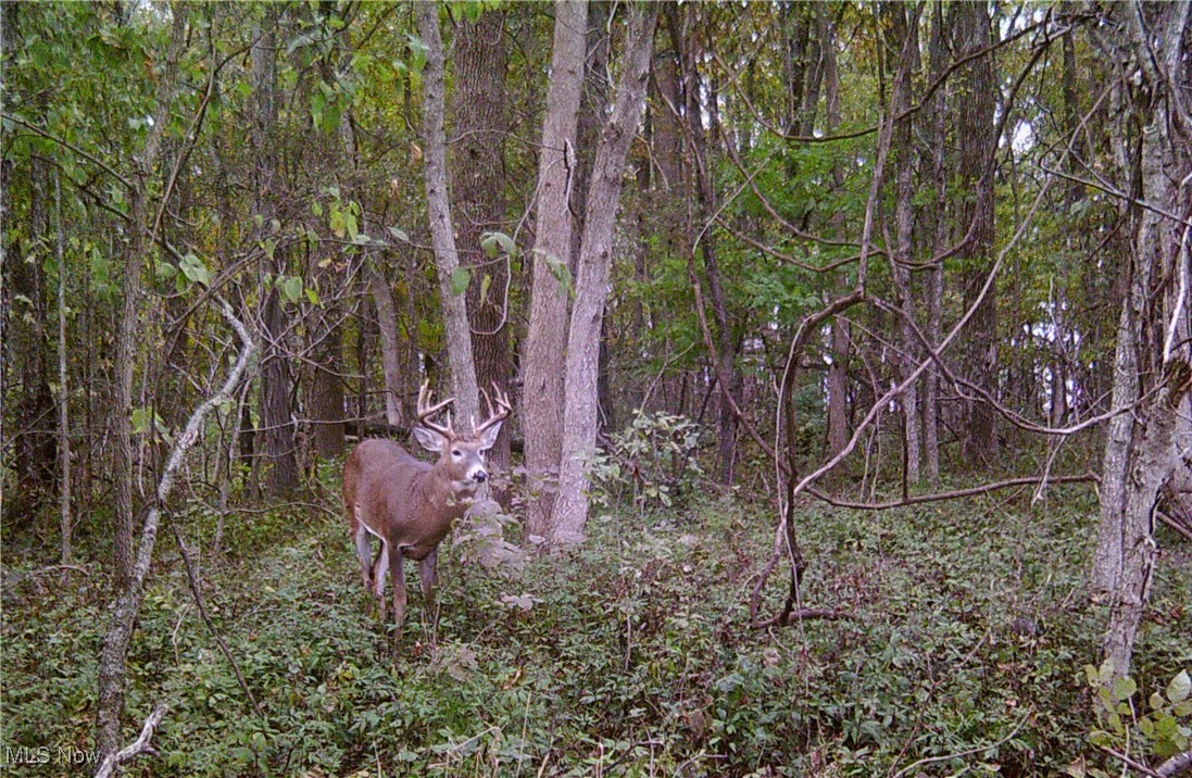 Hunters Glen Sub - Land