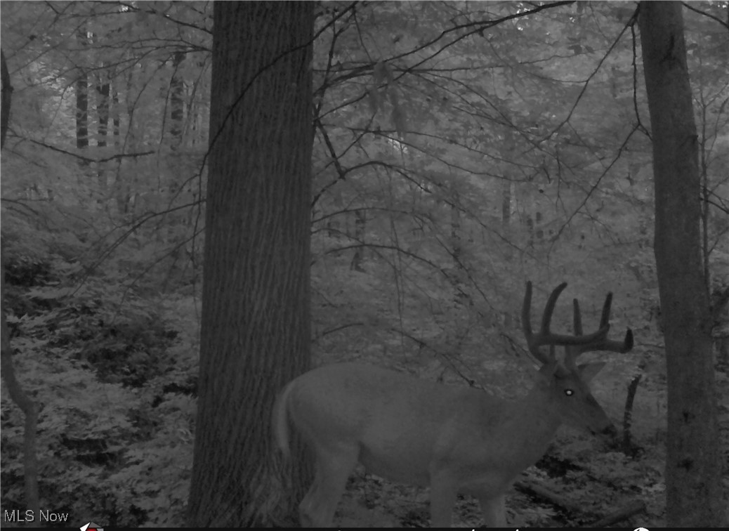 Hunters Glen Sub - Land