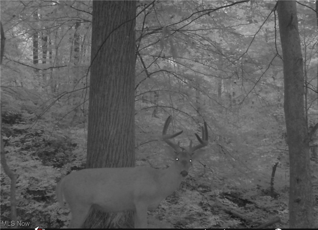 Hunters Glen Sub - Land