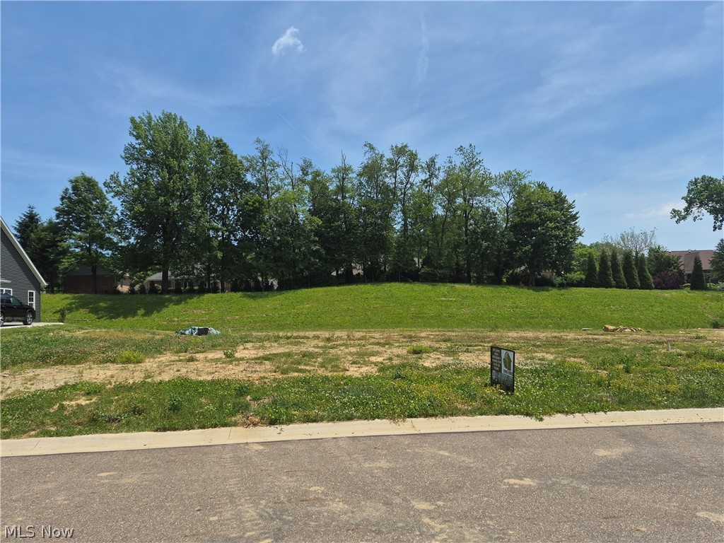 Julian Farms is a highly desirable community located in the Jackson Township School District, and this .48-acre
lot offers an ideal setting to build your dream home. This lovely neighborhood features public utilities and a prime location
just minutes from Jackson High School, The Strip, and Belden Village Mall, providing both convenience and a welcoming
community atmosphere. Charis Homes, the exclusive builder for this lot, offers Energy Star–rated homes that are Indoor
airPLUS certified and included ICF foundations for superior comfort, efficiency, and durability. Each home is fully custom-
designed to fit your lifestyle, needs, and budget. Don’t settle—build a Charis Home.