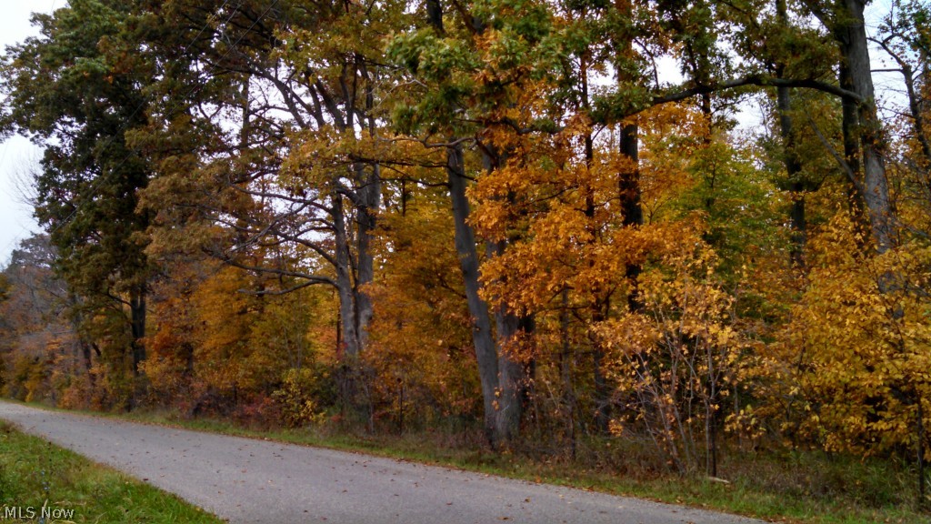 Tuscarawas - Land