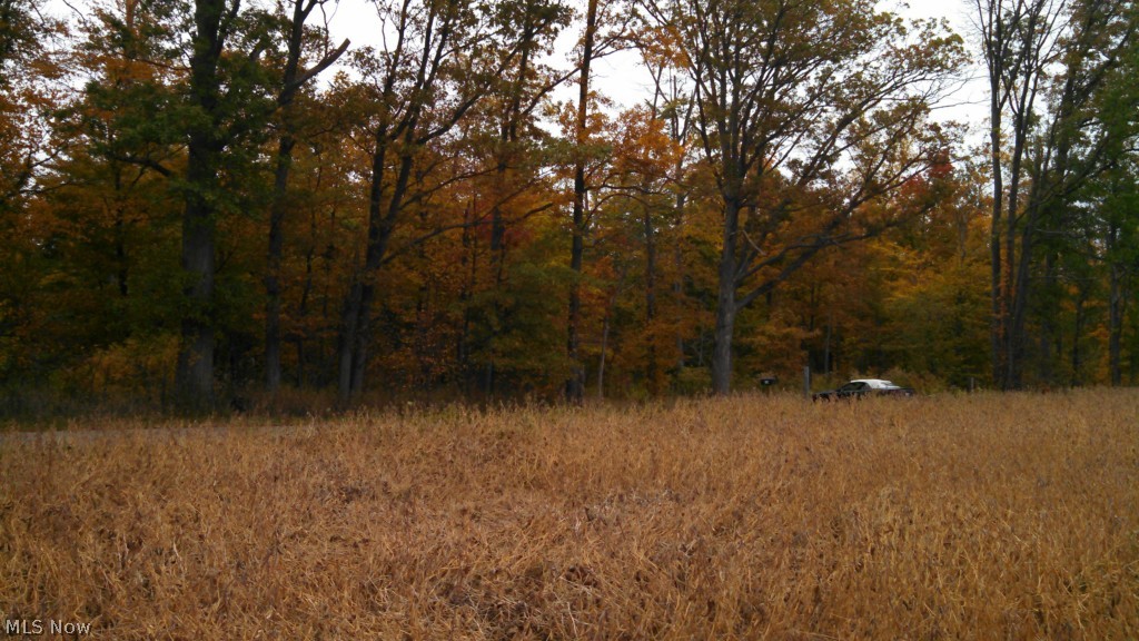 Tuscarawas - Land